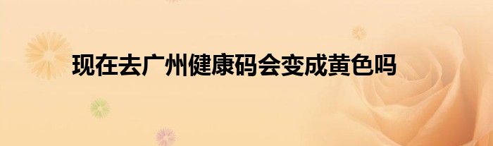 現(xiàn)在去廣州健康碼會變成黃色嗎