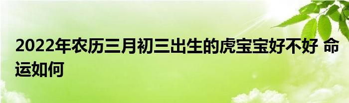2022年農(nóng)歷三月初三出生的虎寶寶好不好 命運(yùn)如何