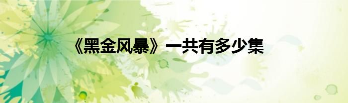 《黑金風(fēng)暴》一共有多少集