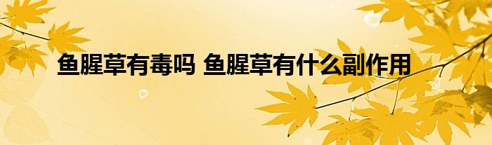 魚腥草有毒嗎 魚腥草有什么副作用