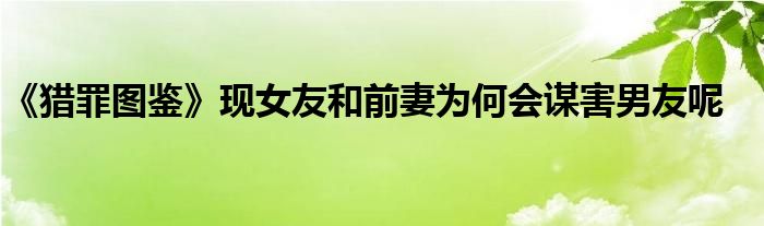 《獵罪圖鑒》現(xiàn)女友和前妻為何會謀害男友呢
