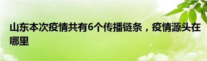 山東本次疫情共有6個傳播鏈條，疫情源頭在哪里
