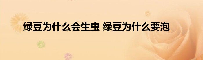綠豆為什么會生蟲 綠豆為什么要泡