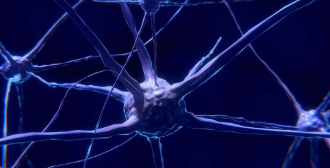 科學家們展示了眼睛的動作如何觸發(fā)腦電波以幫助記住重要的社會信息