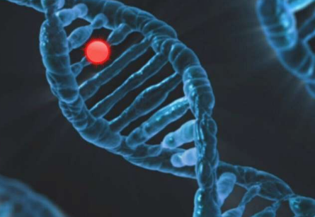 與自閉癥和精神分裂癥相關的 DNA