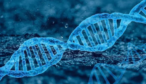基因編輯的新平臺可能會改變基于 CRISPR 的療法的格局