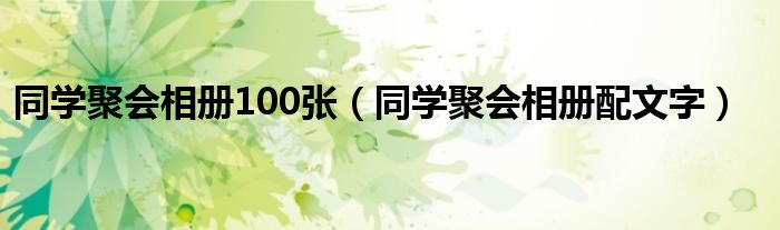 同學(xué)聚會相冊100張（同學(xué)聚會相冊配文字）