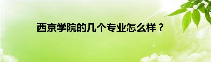 西京學(xué)院的幾個(gè)專業(yè)怎么樣？