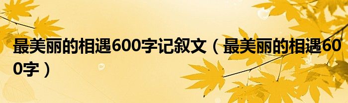 最美麗的相遇600字記敘文（最美麗的相遇600字）