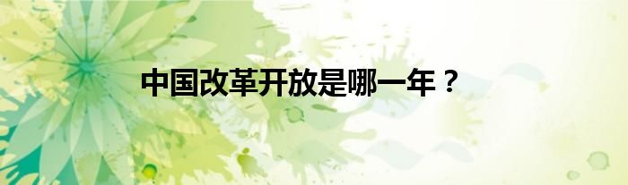 中國改革開放是哪一年？