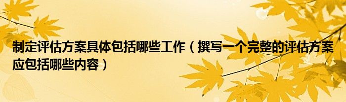 制定評(píng)估方案具體包括哪些工作（撰寫一個(gè)完整的評(píng)估方案應(yīng)包括哪些內(nèi)容）
