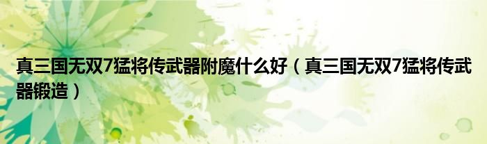 真三國無雙7猛將傳武器附魔什么好（真三國無雙7猛將傳武器鍛造）