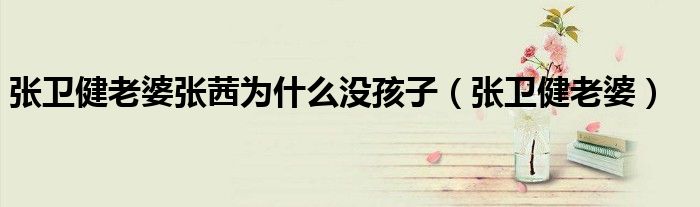 張衛(wèi)健老婆張茜為什么沒(méi)孩子（張衛(wèi)健老婆）