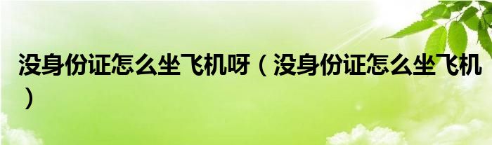 沒身份證怎么坐飛機呀（沒身份證怎么坐飛機）