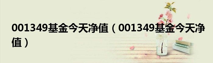 001349基金今天凈值（001349基金今天凈值）