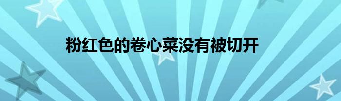 粉紅色的卷心菜沒(méi)有被切開(kāi)
