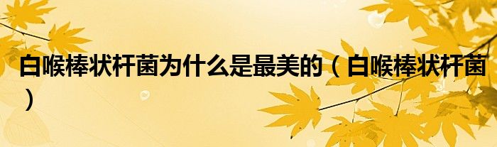 白喉棒狀桿菌為什么是最美的（白喉棒狀桿菌）