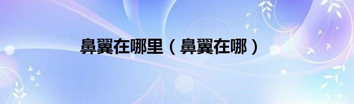 鼻翼在哪里（鼻翼在哪）