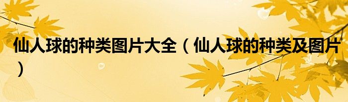 仙人球的種類(lèi)圖片大全(仙人球的種類(lèi)及圖片)
