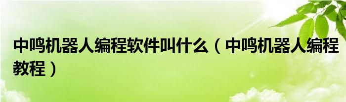 中鳴機器人編程軟件叫什么（中鳴機器人編程教程）