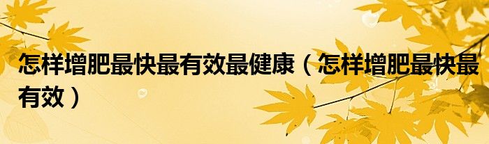 怎樣增肥最快最有效最健康（怎樣增肥最快最有效）