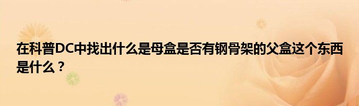 在科普DC中找出什么是母盒是否有鋼骨架的父盒這個(gè)東西是什么？