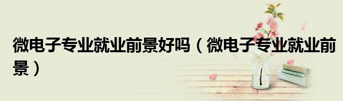 微電子專業(yè)就業(yè)前景好嗎(微電子專業(yè)就業(yè)前景)