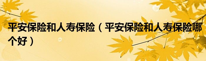 平安保險和人壽保險（平安保險和人壽保險哪個好）