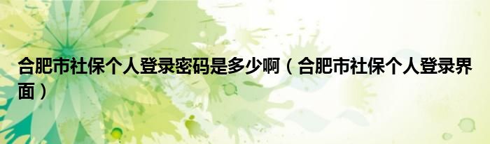 合肥市社保個人登錄密碼是多少啊（合肥市社保個人登錄界面）