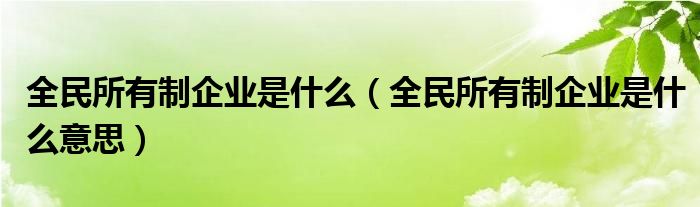 全民所有制企業(yè)是什么（全民所有制企業(yè)是什么意思）