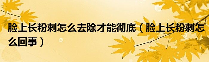 臉上長粉刺怎么去除才能徹底（臉上長粉刺怎么回事）