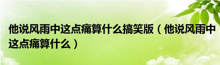 他說風(fēng)雨中這點痛算什么搞笑版（他說風(fēng)雨中這點痛算什么）