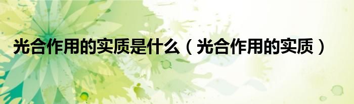 光合作用的實質(zhì)是什么（光合作用的實質(zhì)）