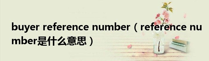 buyer reference number（reference number是什么意思）