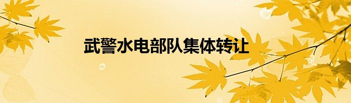 武警水電部隊(duì)集體轉(zhuǎn)讓