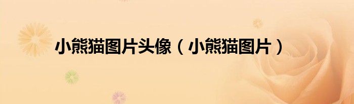 小熊貓圖片頭像（小熊貓圖片）
