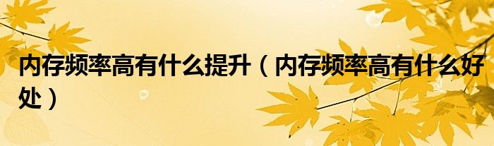 內(nèi)存頻率高有什么提升(內(nèi)存頻率高有什么好處)