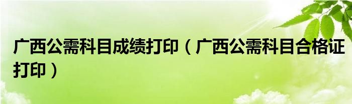 廣西公需科目成績打?。◤V西公需科目合格證打印）