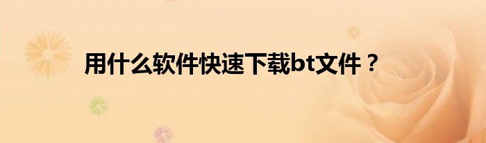 用什么軟件快速下載bt文件？