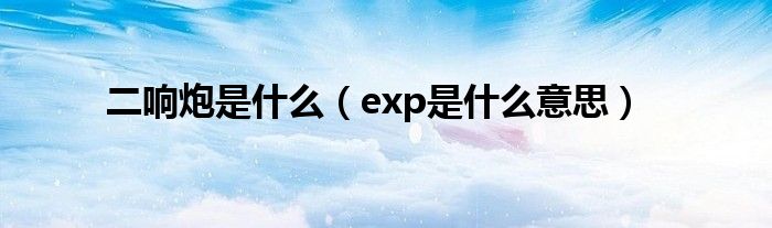 二響炮是什么（exp是什么意思）