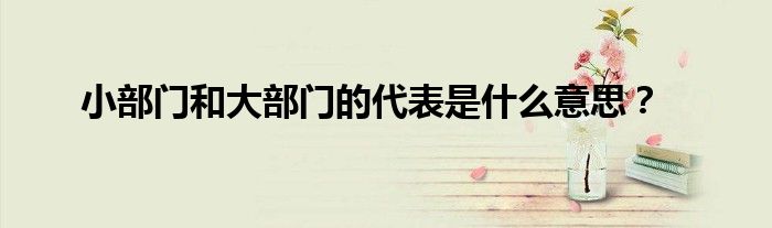 小部門和大部門的代表是什么意思？