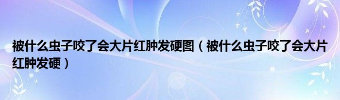 被什么蟲子咬了會(huì)大片紅腫發(fā)硬圖（被什么蟲子咬了會(huì)大片紅腫發(fā)硬）