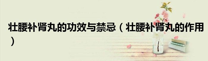 壯腰補(bǔ)腎丸的功效與禁忌(壯腰補(bǔ)腎丸的作用)