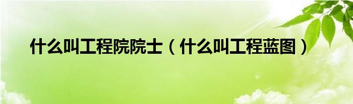 什么叫工程院院士（什么叫工程藍(lán)圖）