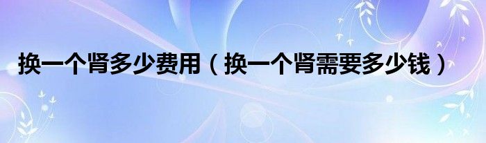 換一個(gè)腎多少費(fèi)用（換一個(gè)腎需要多少錢）
