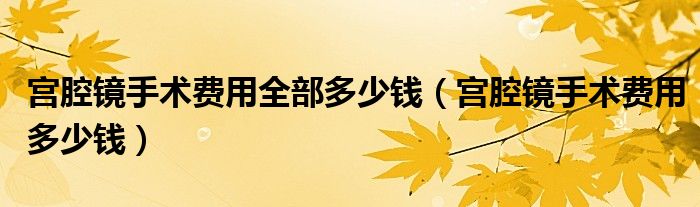 宮腔鏡手術(shù)費(fèi)用全部多少錢（宮腔鏡手術(shù)費(fèi)用多少錢）