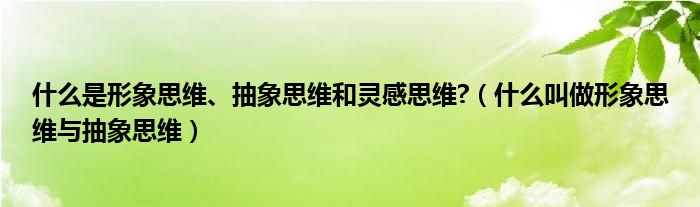 什么是形象思維、抽象思維和靈感思維?（什么叫做形象思維與抽象思維）