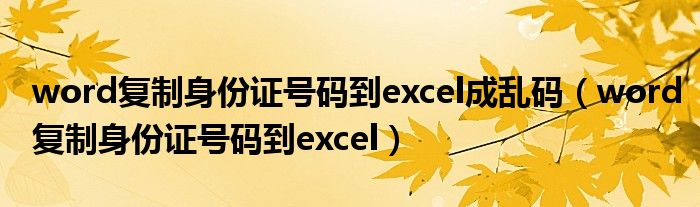 word復(fù)制身份證號(hào)碼到excel成亂碼(word復(fù)制身份證號(hào)碼到excel)
