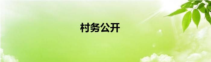 村務(wù)公開