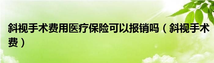 斜視手術(shù)費(fèi)用醫(yī)療保險(xiǎn)可以報(bào)銷(xiāo)嗎（斜視手術(shù)費(fèi)）